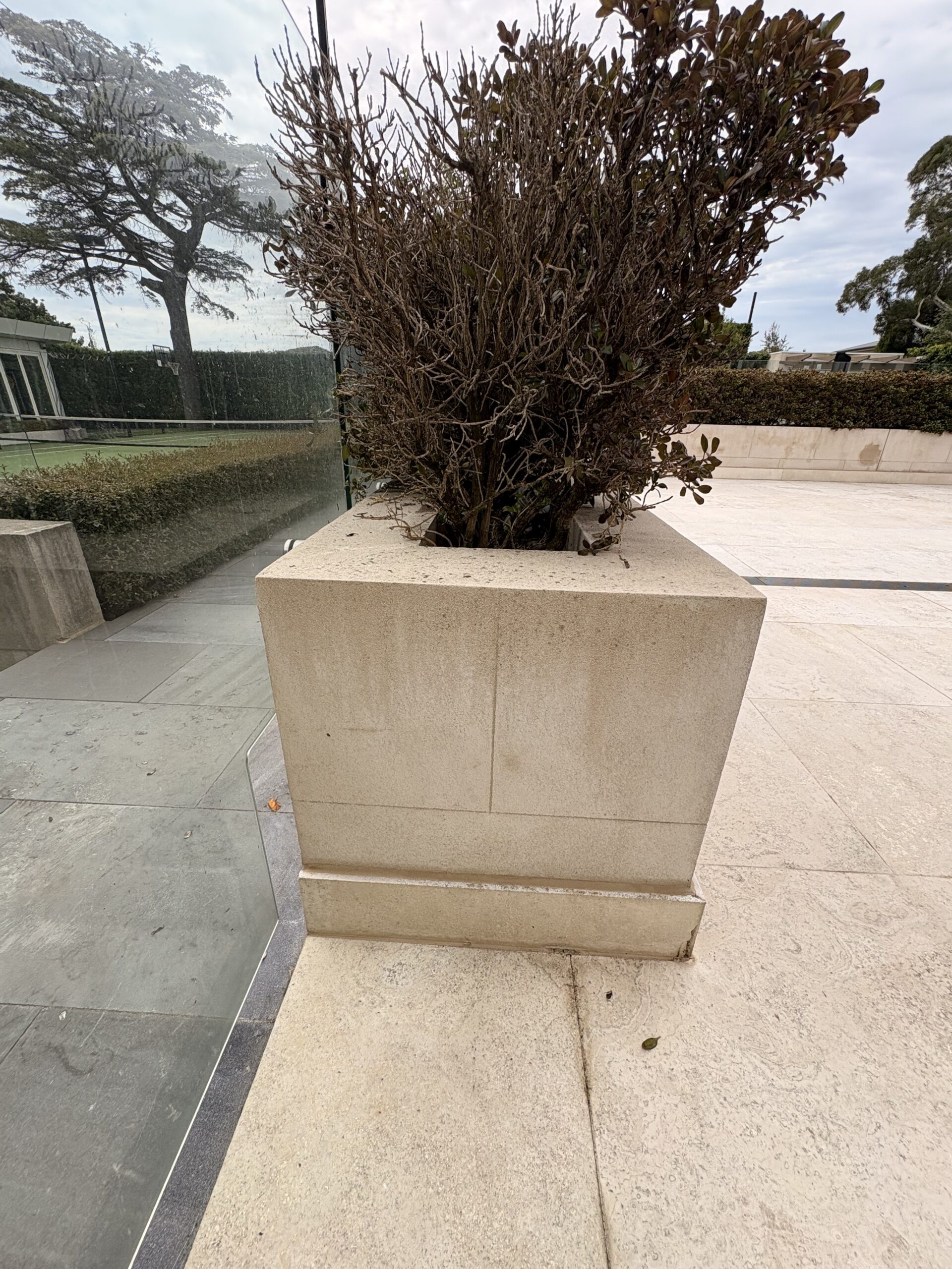 Before and After Pressure Washing